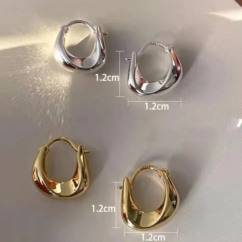 Elegant 925 Silver Hoop Earrings™