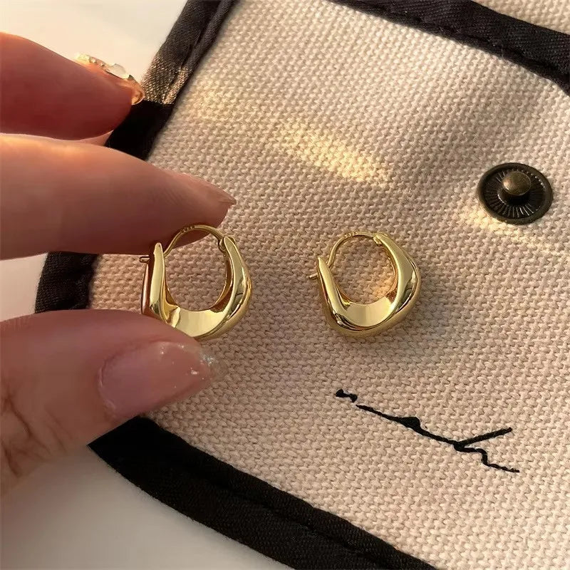 Elegant 925 Silver Hoop Earrings™
