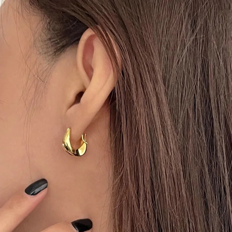 Elegant 925 Silver Hoop Earrings™